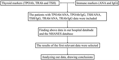 Relationship between autoimmune thyroid antibodies and anti-nuclear antibodies in general patients